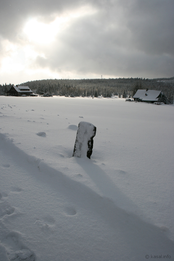 Pole in the snow