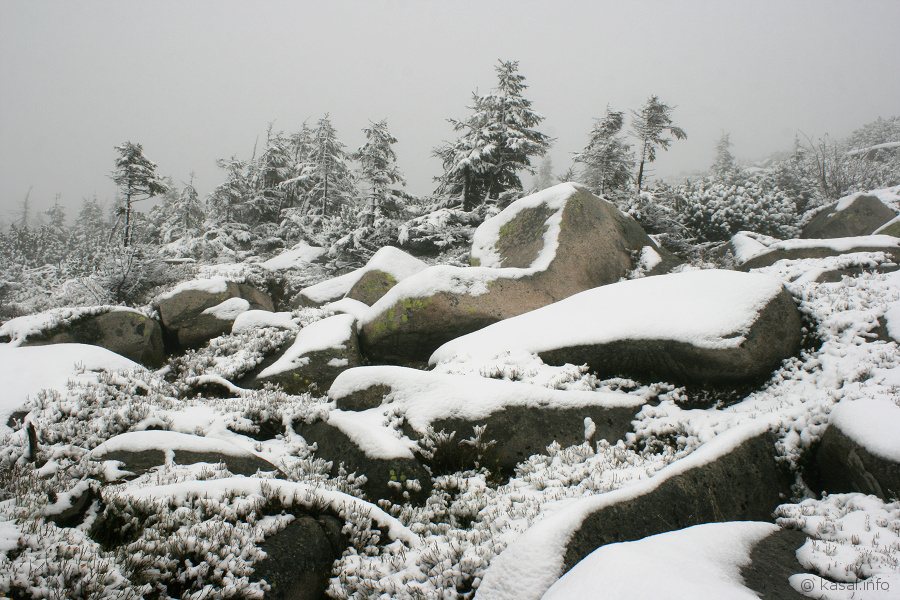Snow covered stones