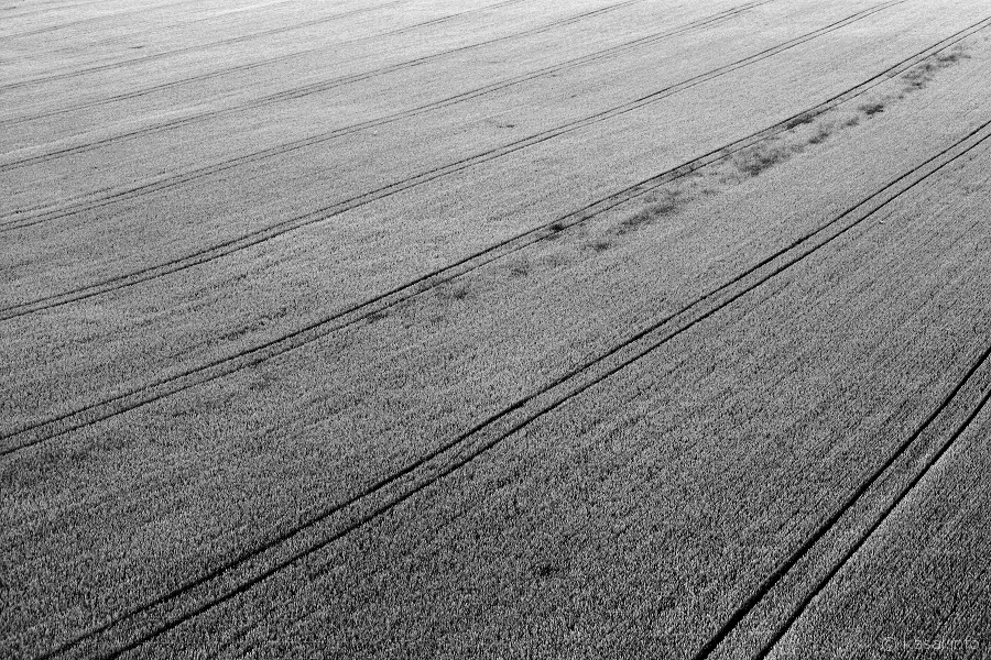 Field tracks