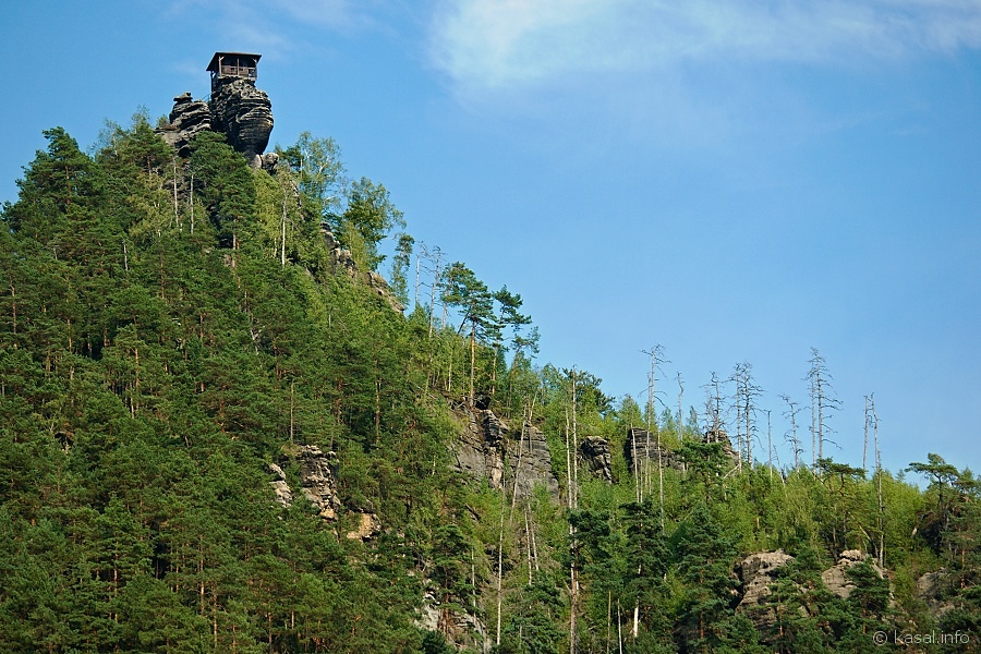 The nest
