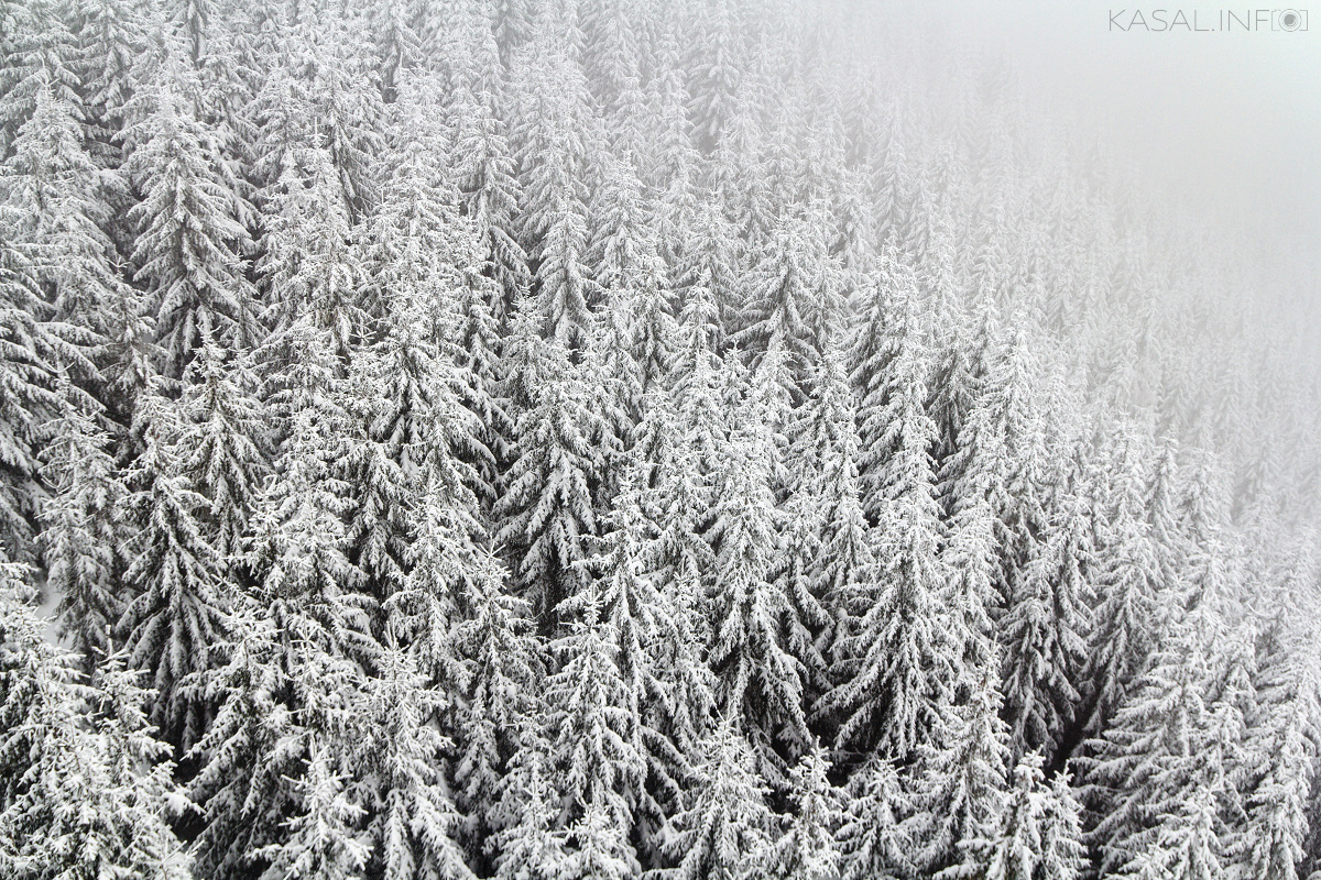 Winter haze