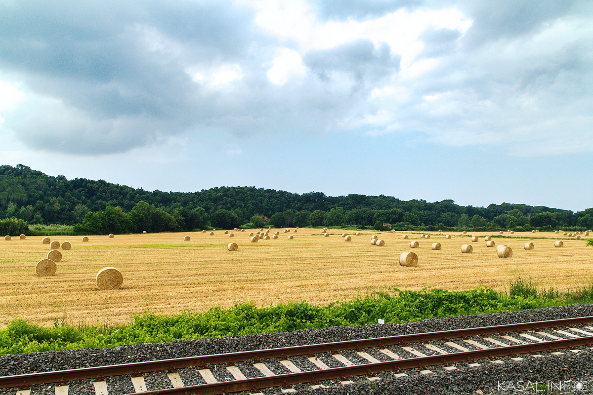 Harvest time