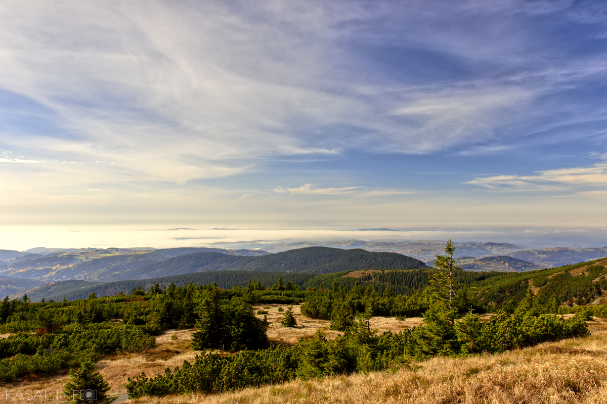 Morning in the mountains