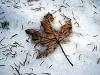 The end of the winter