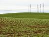 Electricity pylons in waves of field