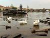 Charles bridge