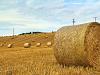 Time to harvest